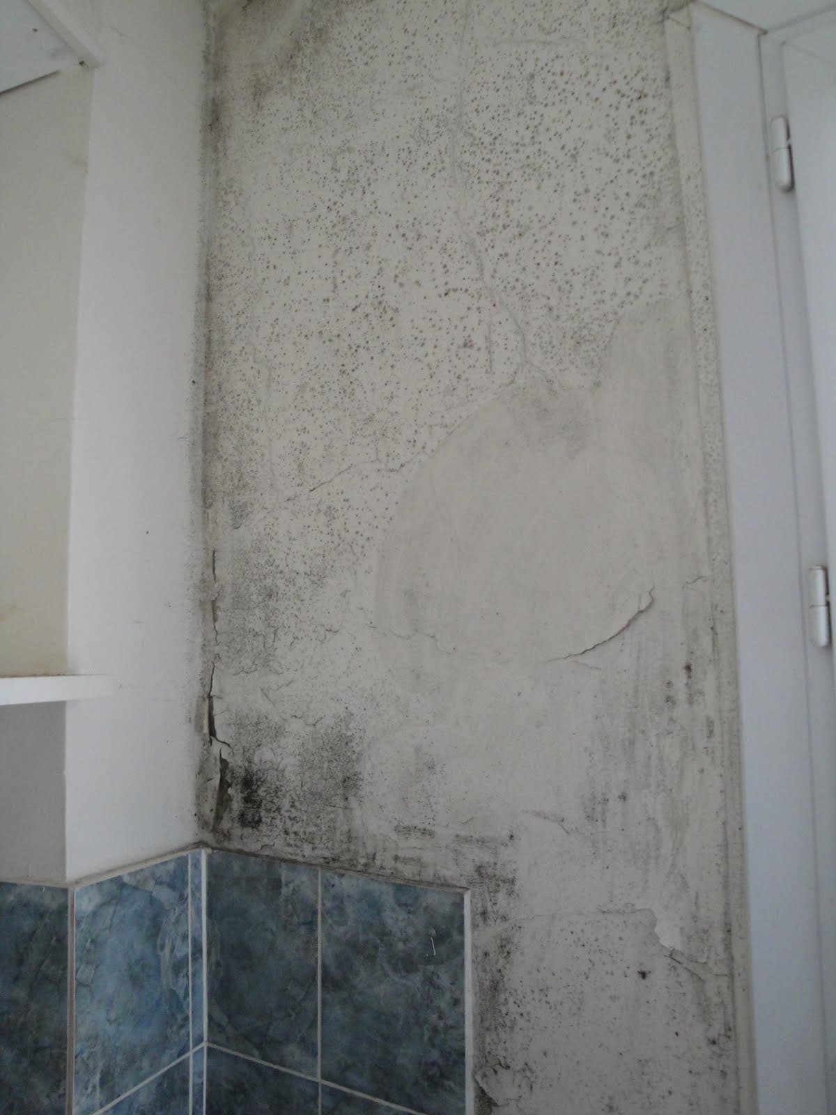 Moff Net - Imagem 1